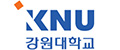 강원대학교